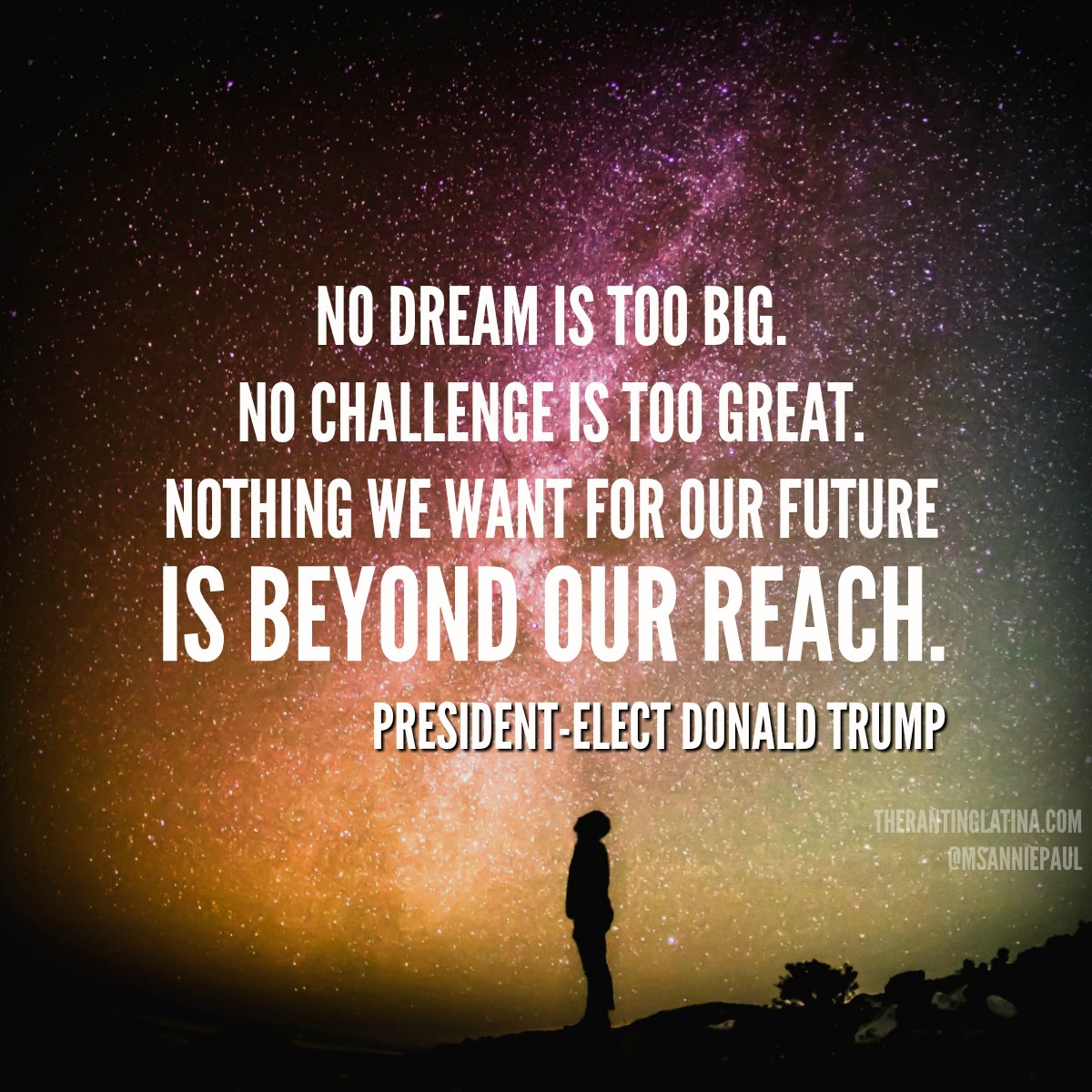 "No dream is too big, No challenge is too great, Nothing we want for our future is beyond our reach." - President-Elect Donald Trump