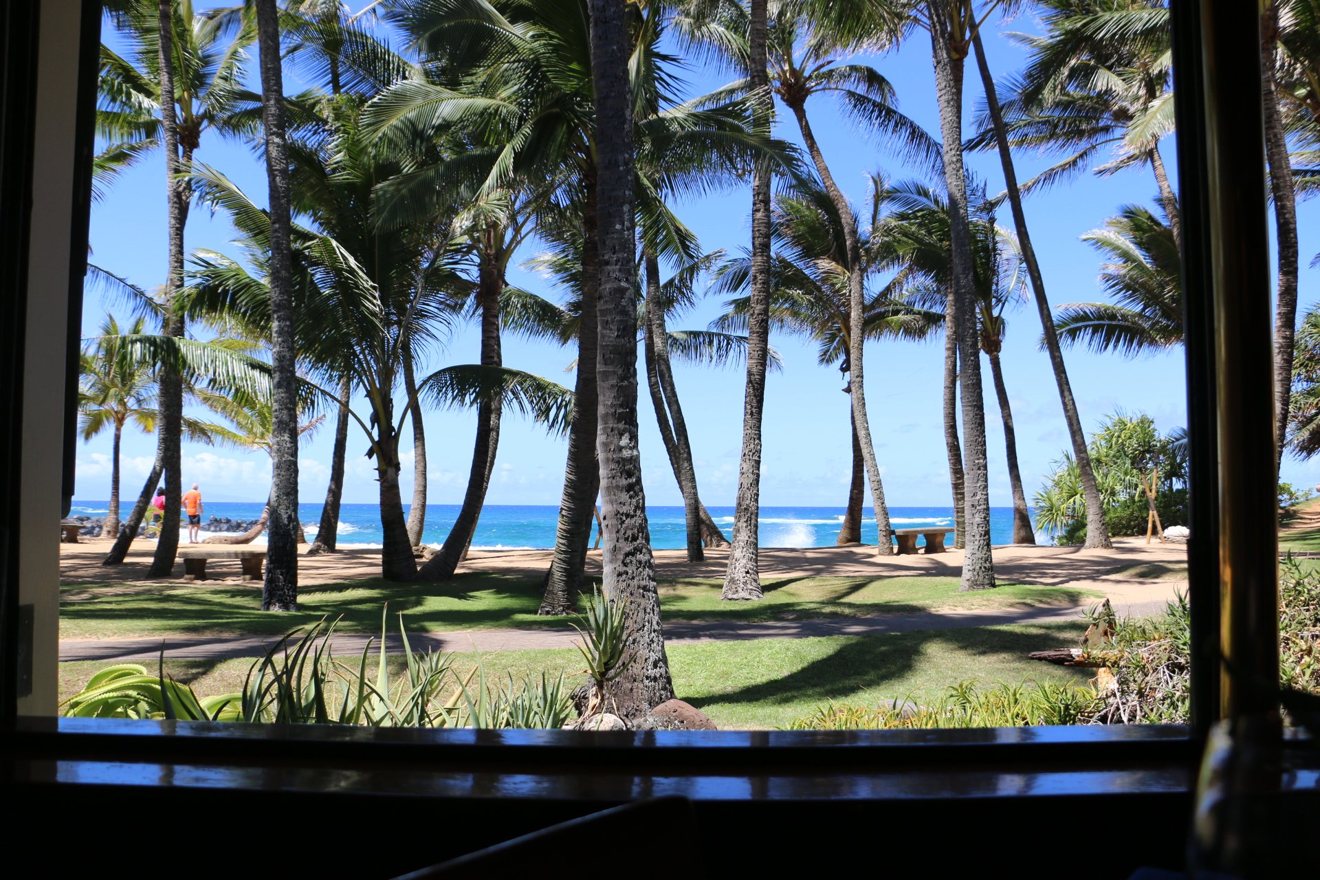 Mama's Fish House Honeymoon - View from our table